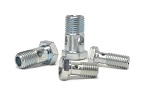 Banjo Bolts